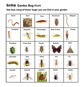 Garden Bug Chart graphic small