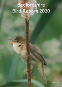 Close-up journal Bedfordshire Bird Report
