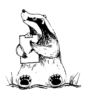 © Joan Childs cartoon of a badger with a clipboard, to illustrate recording data about badgers