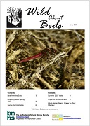 Snapshot of latest Wild About Beds