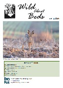 Snapshot of latest Wild About Beds